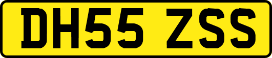 DH55ZSS