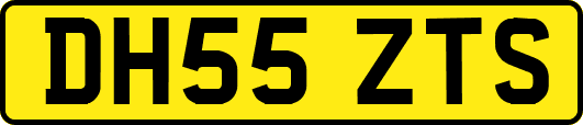 DH55ZTS
