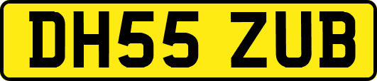 DH55ZUB
