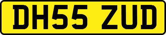 DH55ZUD