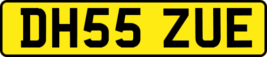 DH55ZUE