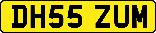 DH55ZUM
