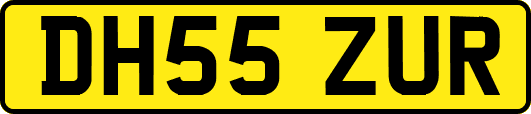DH55ZUR