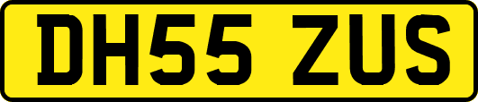 DH55ZUS