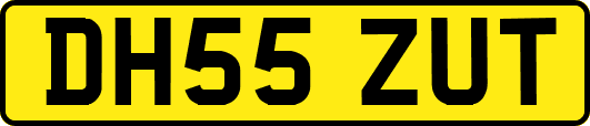 DH55ZUT