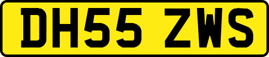 DH55ZWS