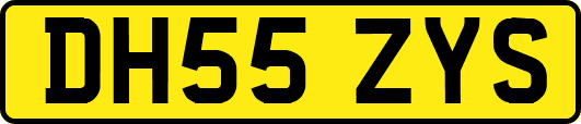 DH55ZYS