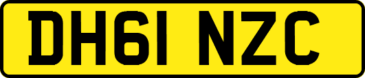 DH61NZC