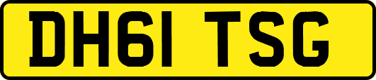 DH61TSG
