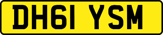 DH61YSM