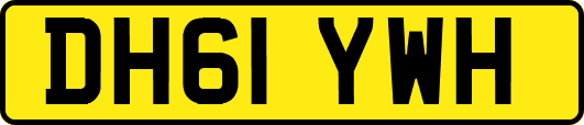 DH61YWH