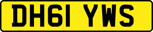 DH61YWS