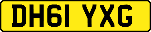 DH61YXG