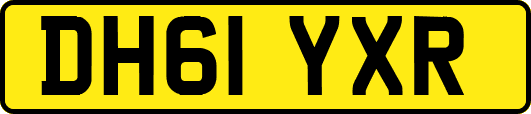 DH61YXR