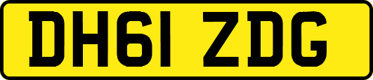 DH61ZDG