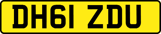 DH61ZDU