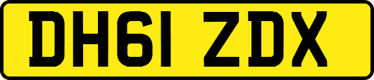 DH61ZDX