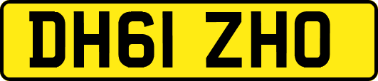 DH61ZHO