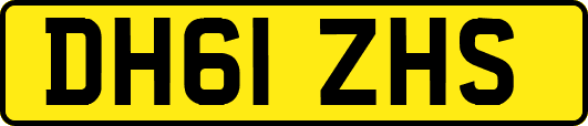 DH61ZHS