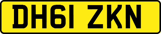 DH61ZKN