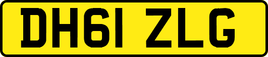 DH61ZLG