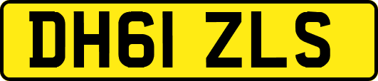 DH61ZLS