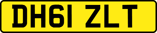 DH61ZLT