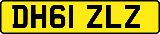 DH61ZLZ