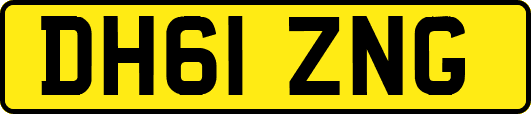 DH61ZNG