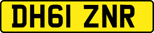 DH61ZNR