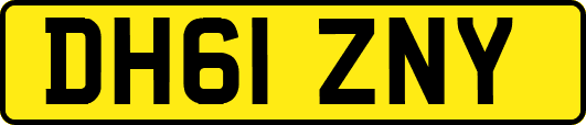 DH61ZNY