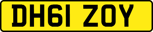 DH61ZOY
