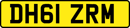 DH61ZRM