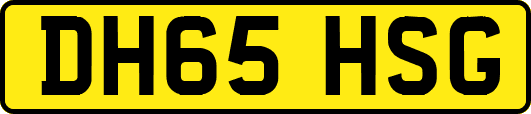 DH65HSG