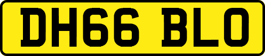 DH66BLO