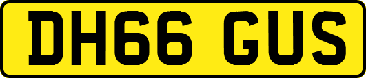 DH66GUS