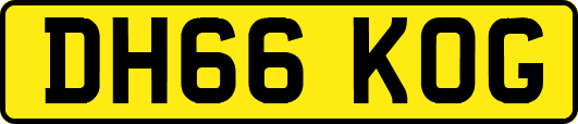 DH66KOG