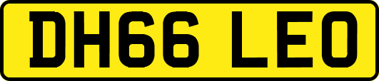 DH66LEO