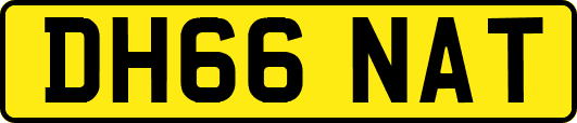 DH66NAT