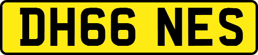 DH66NES