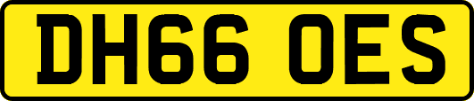 DH66OES