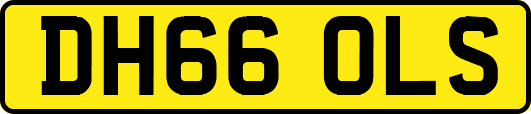 DH66OLS