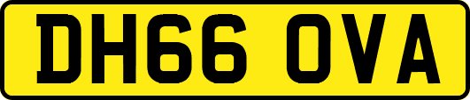 DH66OVA