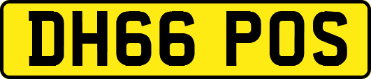 DH66POS