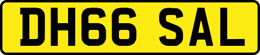 DH66SAL