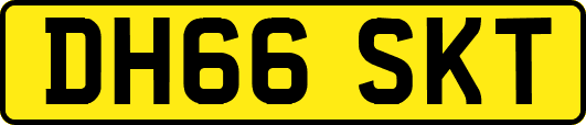 DH66SKT