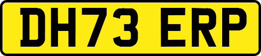 DH73ERP