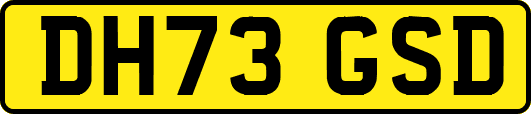 DH73GSD