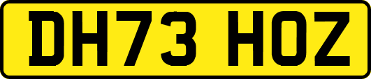 DH73HOZ
