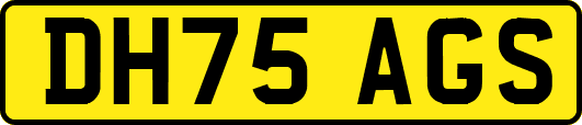 DH75AGS